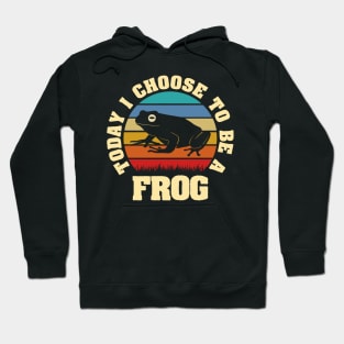 I like Frog Funny vintage lover Today I choose Frog Hoodie